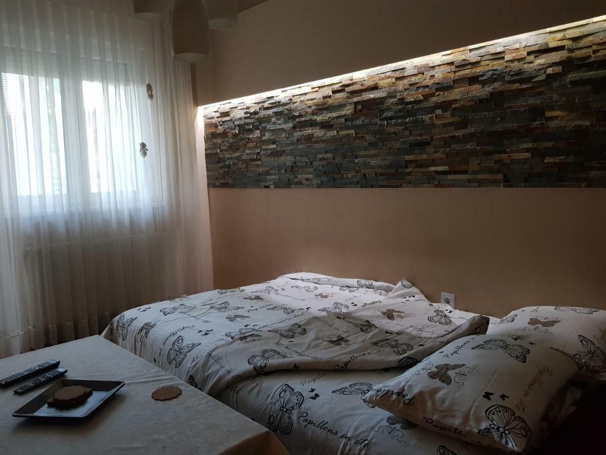 Hulk Apartment Vrsac Exterior photo